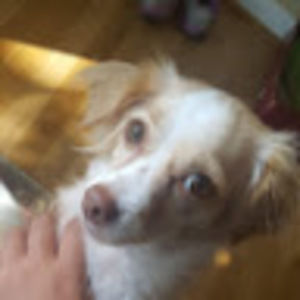 Meet your Posher, Jazmin